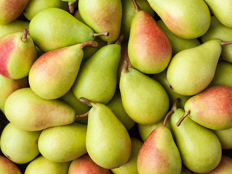 Different Kinds Of Pears