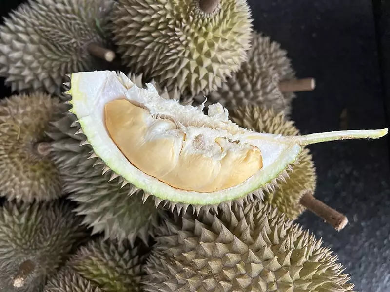 Durian Fruit