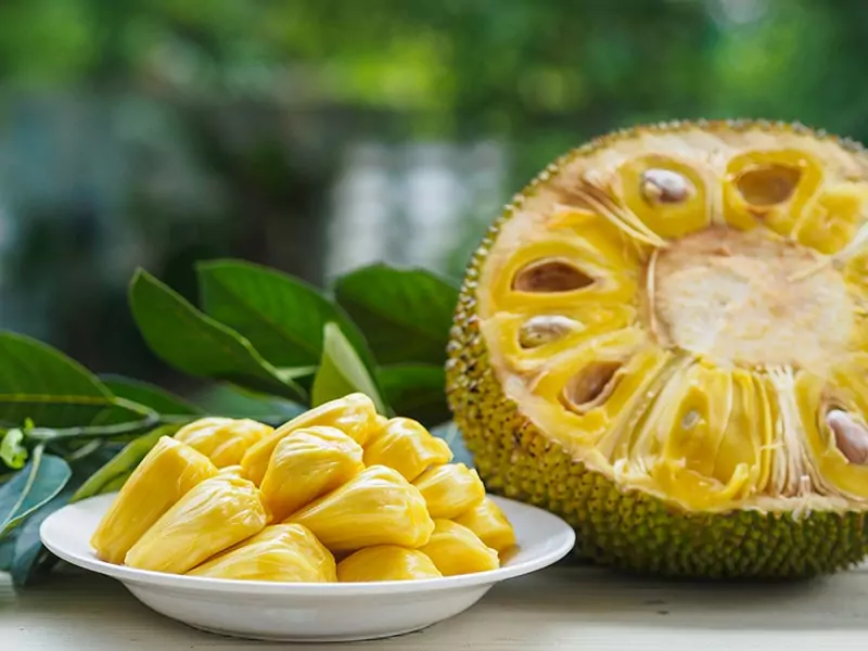 Eating Jackfruit