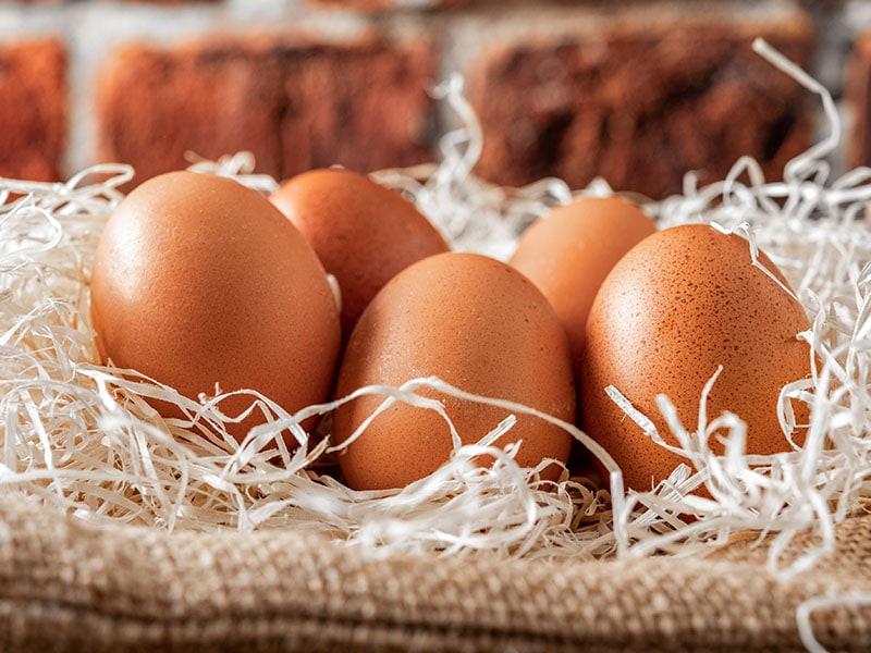 Eggs Bread
