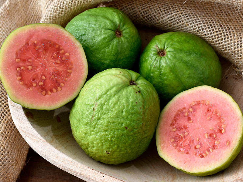 Guava Rind Consists Of More Vitamin C