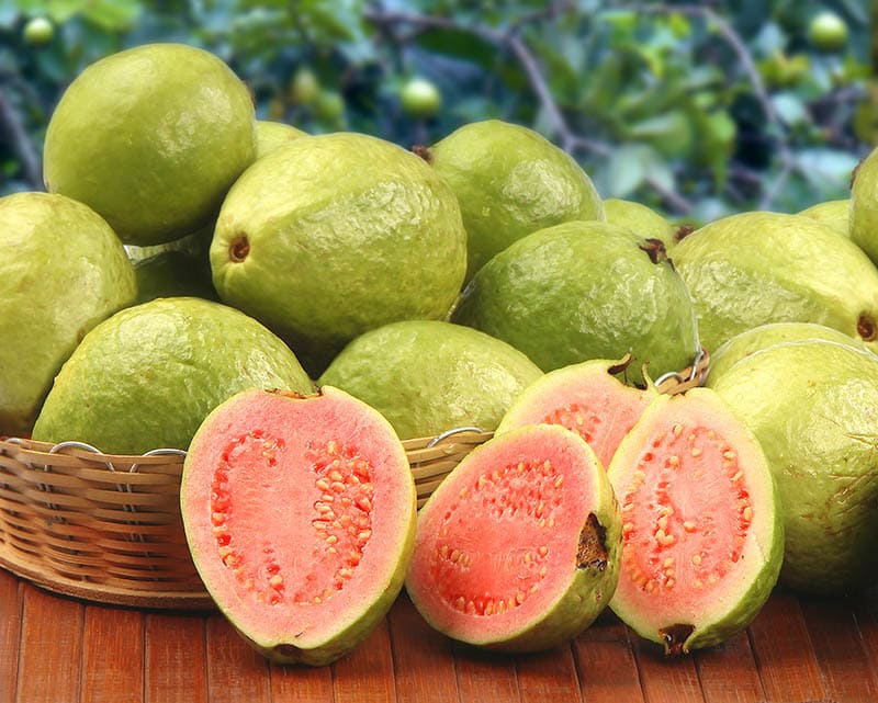 Guavas Taste Floral And Sweet