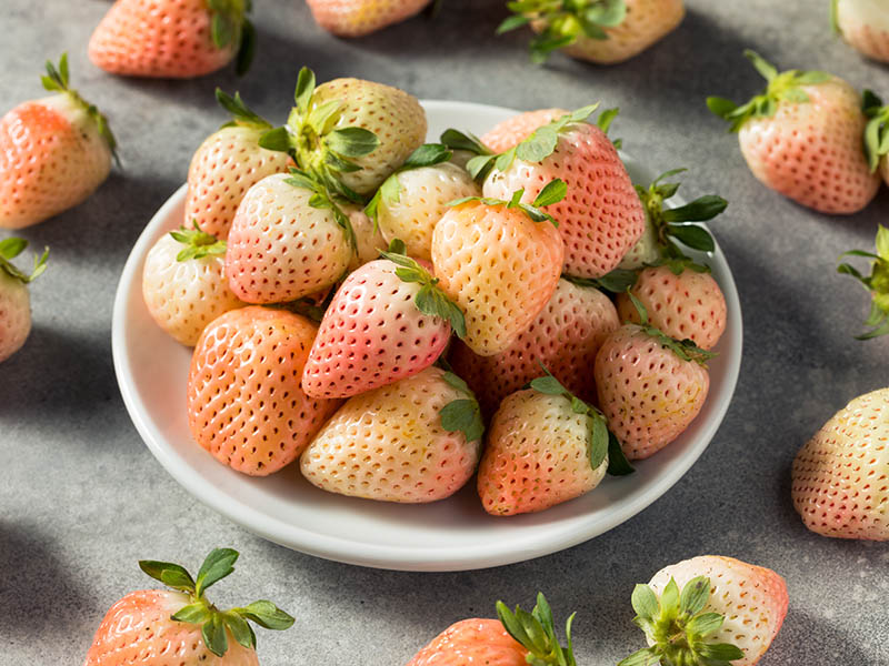 Here Are Pineberries