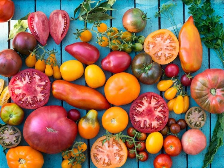 Top 20 Hybrid Fruits and Vegetables for 2024