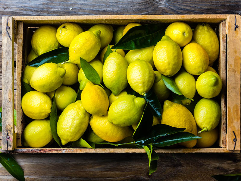 Lemon Is The Most Common Fruits