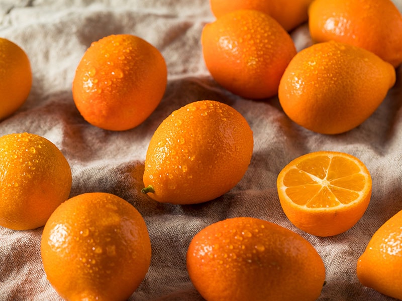 Mandrinquat Kumquat