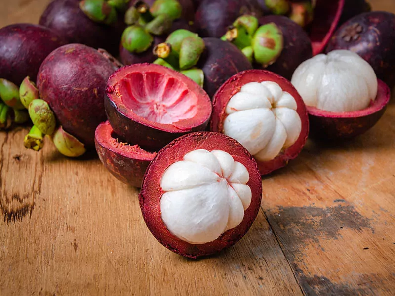 Mangosteen Season