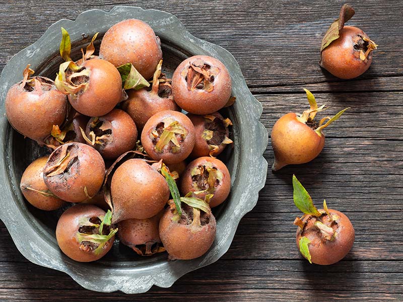 Medlar Fruit