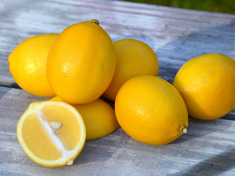 Meyer Lemons Scent