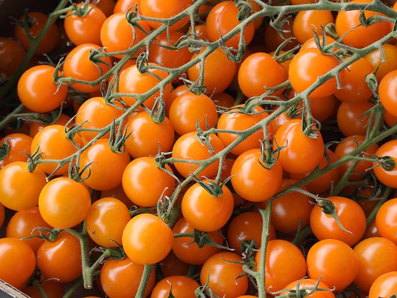 Orange Cherry Tomato Vegetable