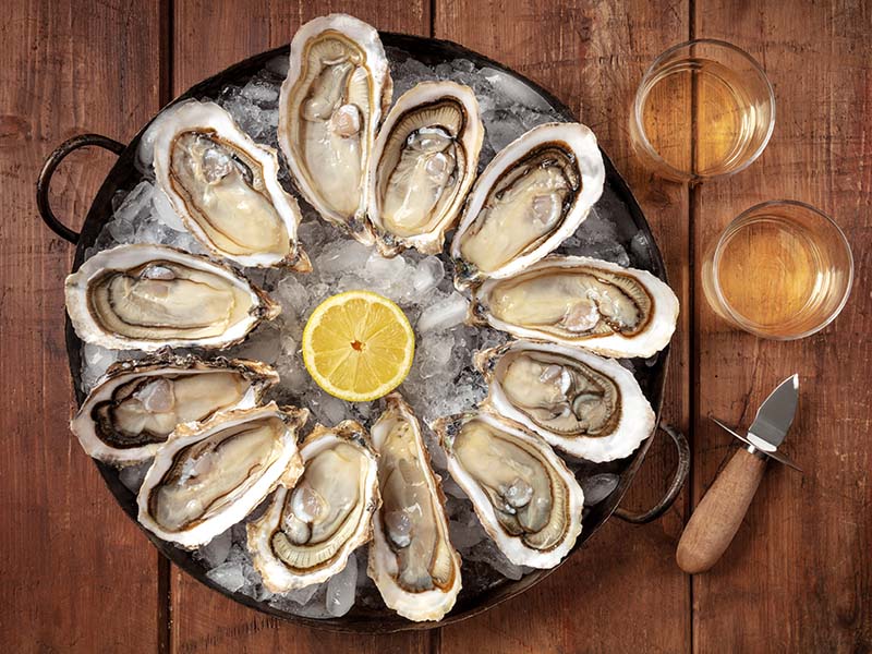 Oysters Contain A Lot Of Nutrients