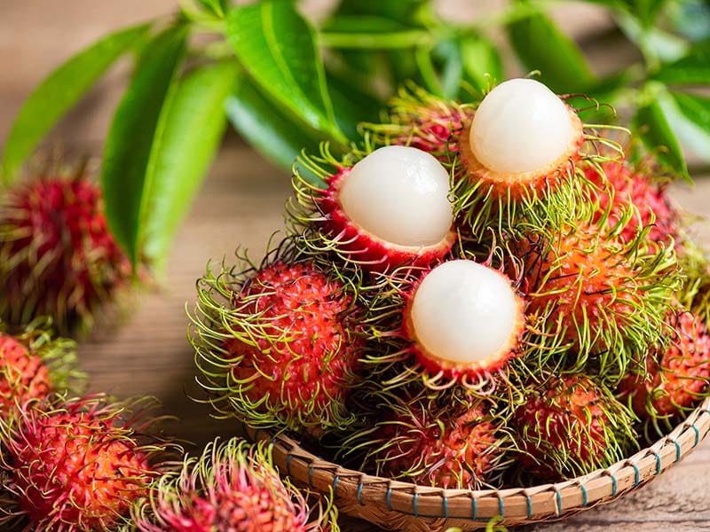 Rambutan Sweet Tropical Fruit