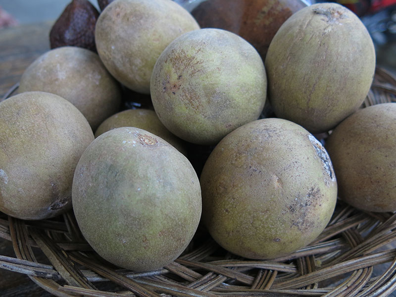 Sapote Sapodilla Fruit
