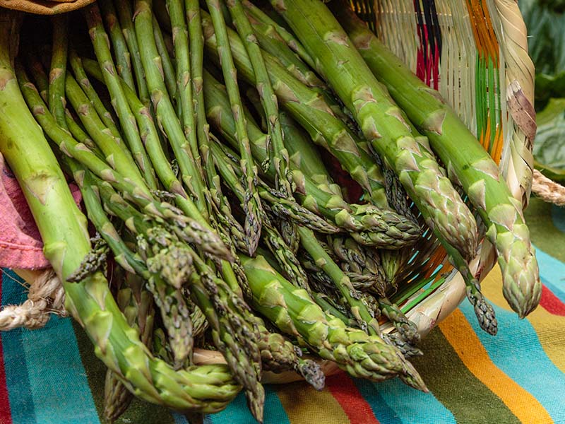 Size Asparagus