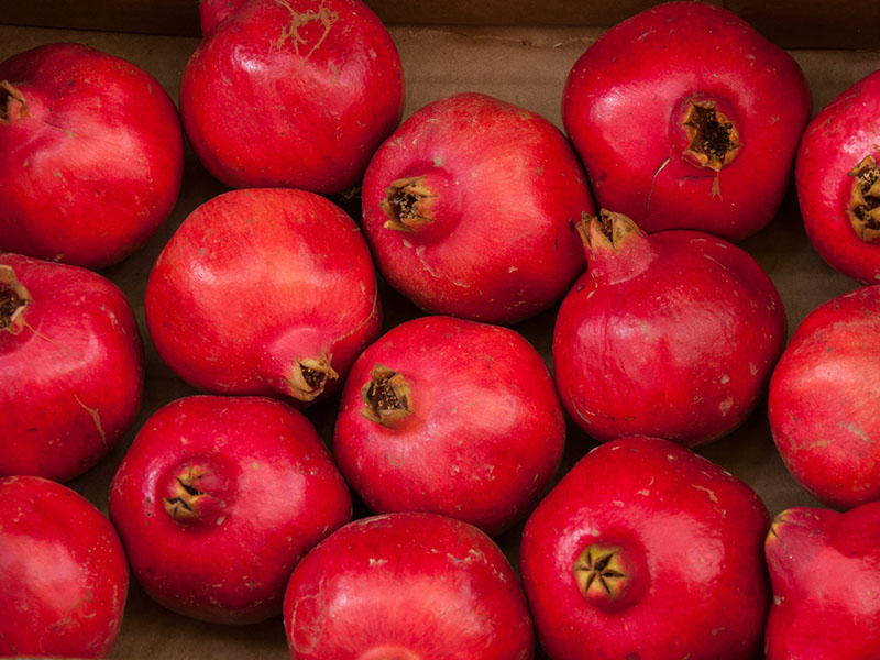 Pomegranate “Sharp Velvet” 10 Finest Seeds Liveseeds 