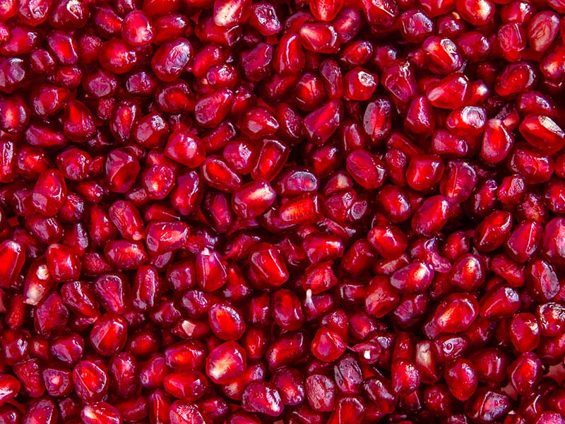 The Ruby Seeds