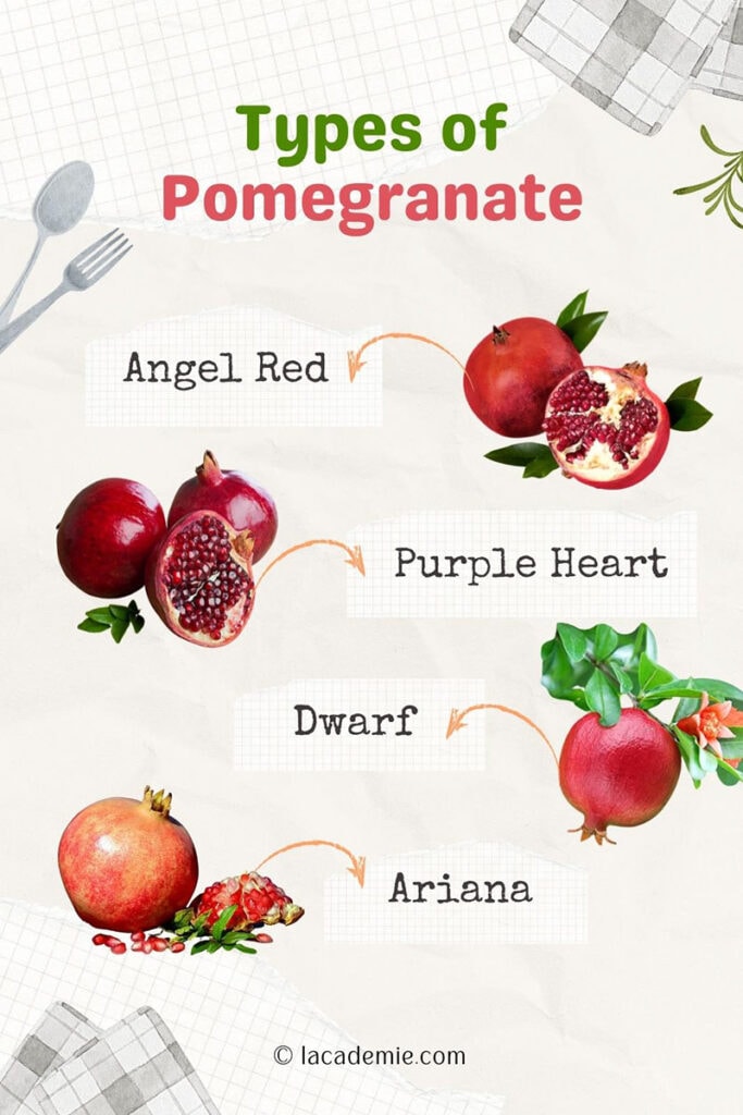 Types Of Pomegranate