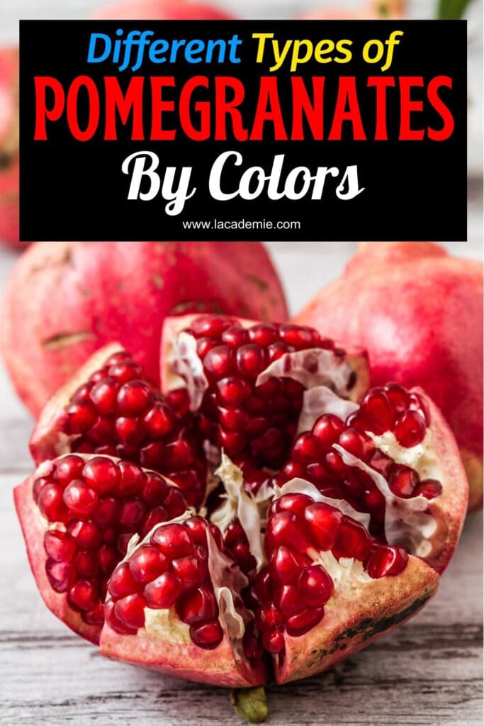 Types Of Pomegranates
