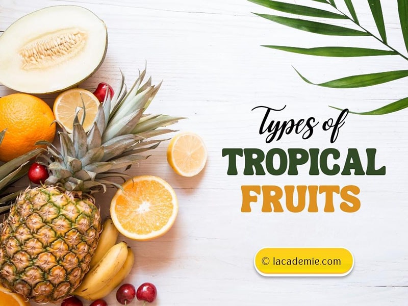 Types Of Tropical Fruit