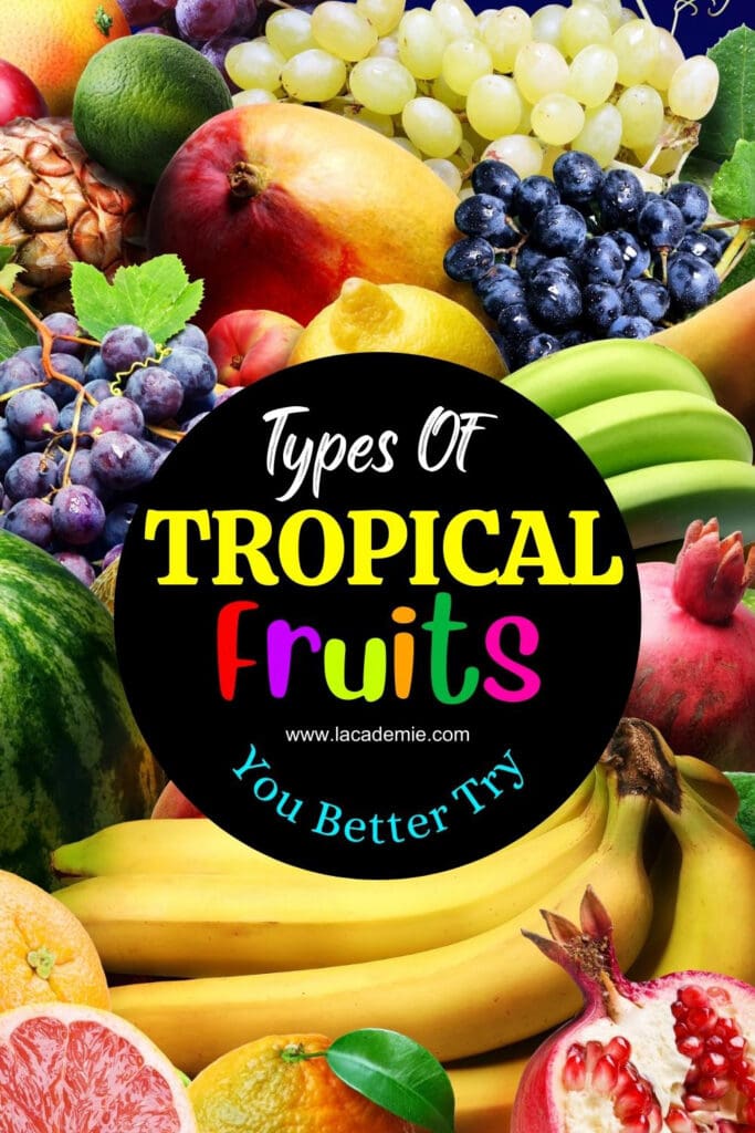 Types Of Tropical Fruits