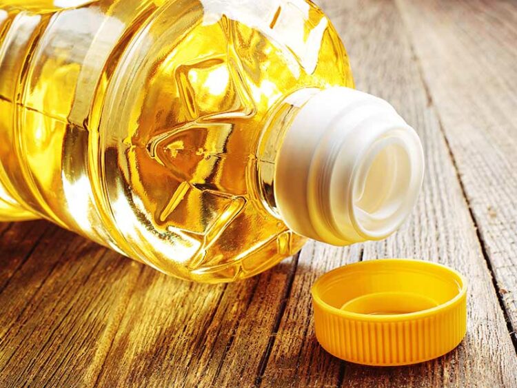 25 Essential Types of Cooking Oils and Fats for 2024