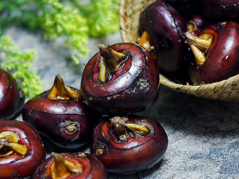 Water Chestnuts Fruit