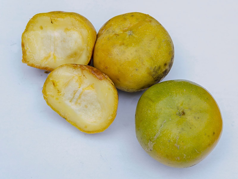 White Sapote Fruit