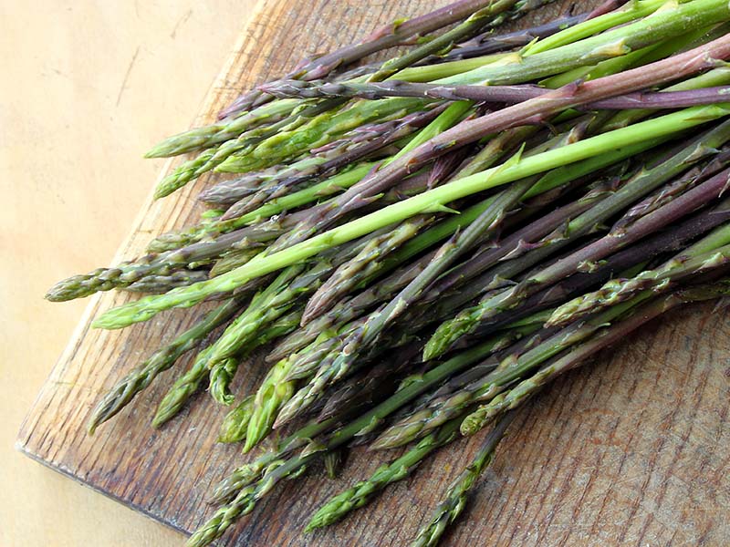 Wild Asparagus Enviroment