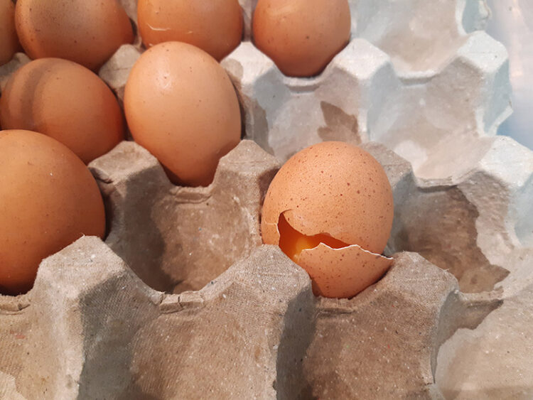 Left Eggs Out Overnight Safety Guidelines 2024