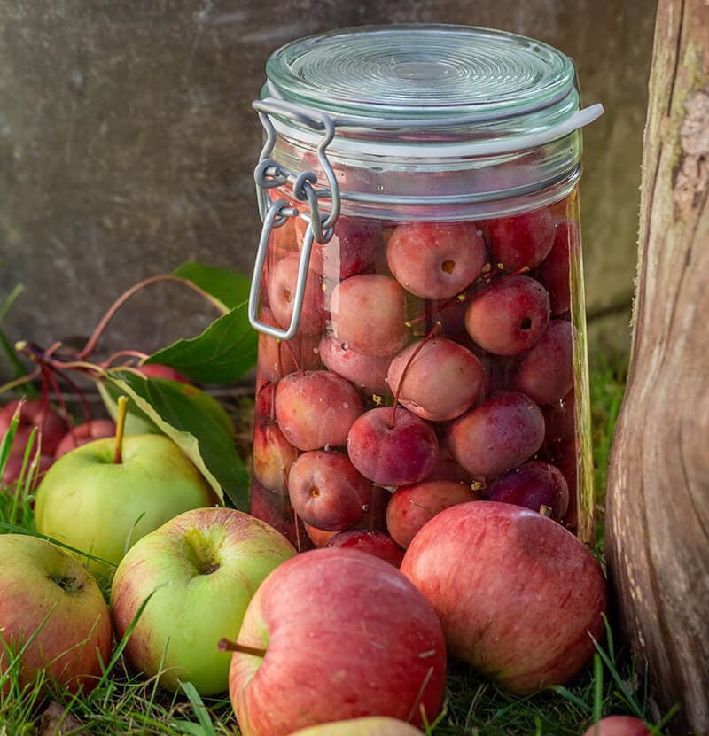 Apples Canned