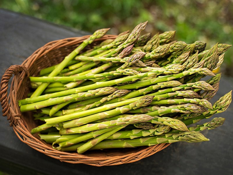 Asparagus Fresh