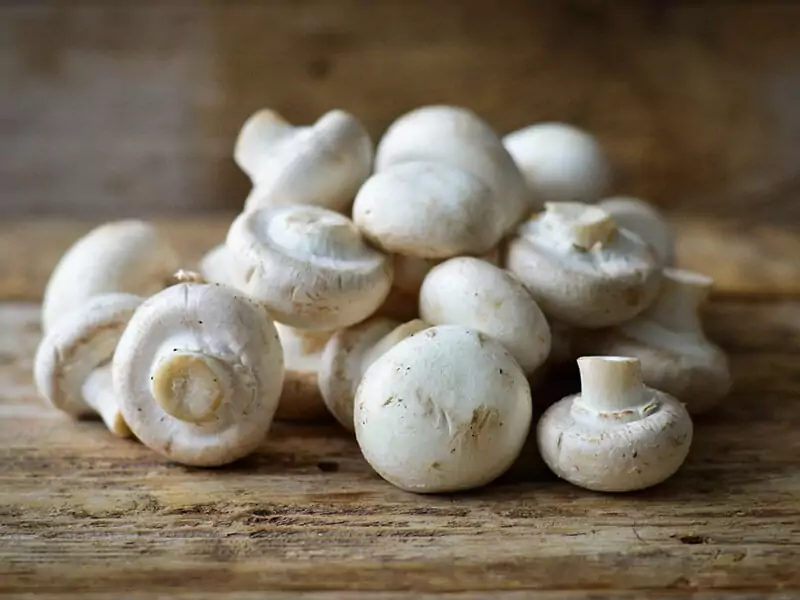 Button Mushroom