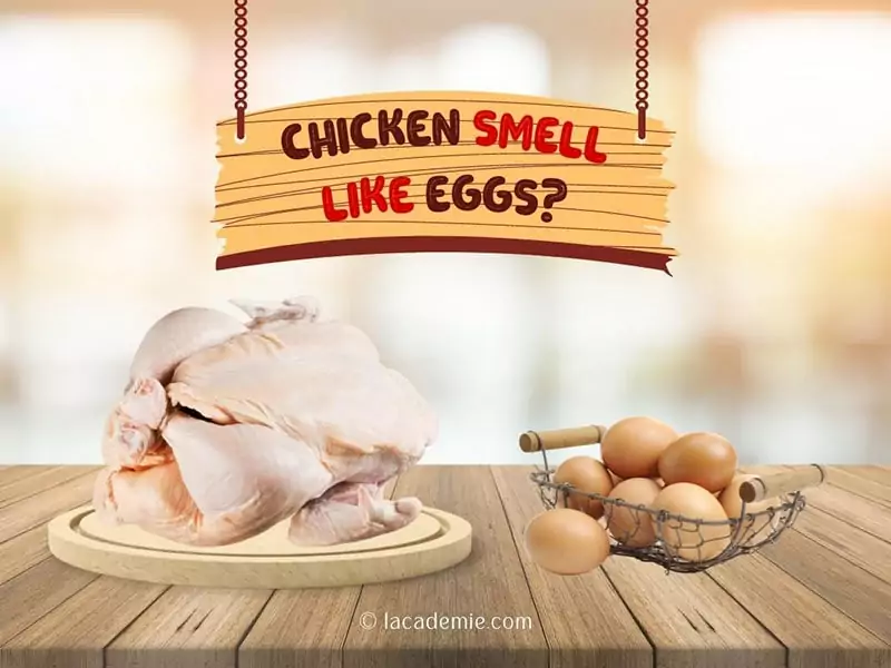 Chicken Smell Like Egg