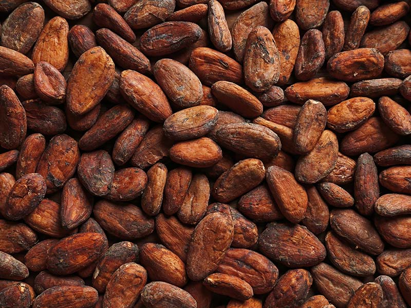 Chocolate Cocoa Beans
