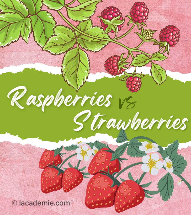 Differentiate Raspberries
