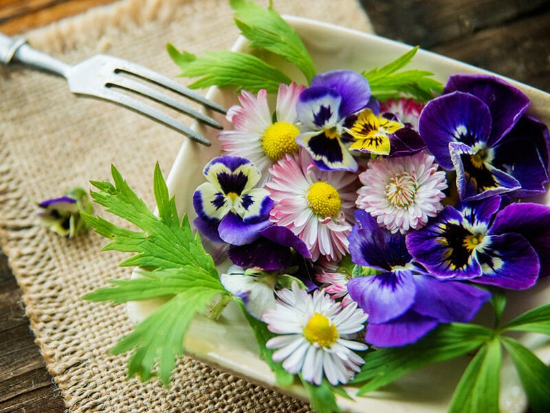 Edible Flowers