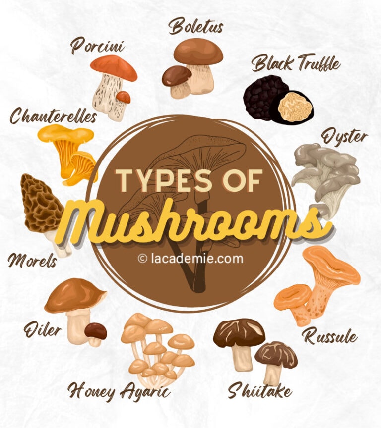 45 Types Of Mushrooms - What Are Edible And Toxic? 2023