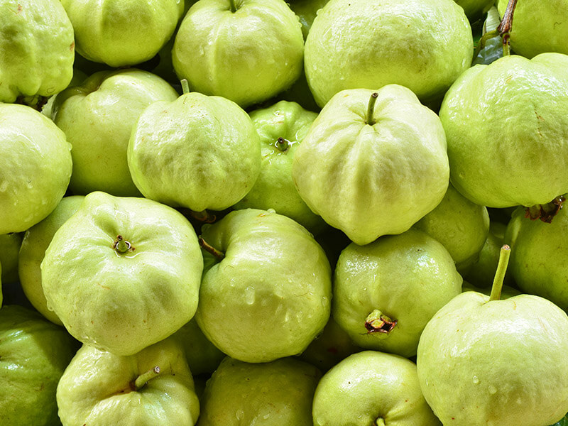 Fresh Ripe Guava