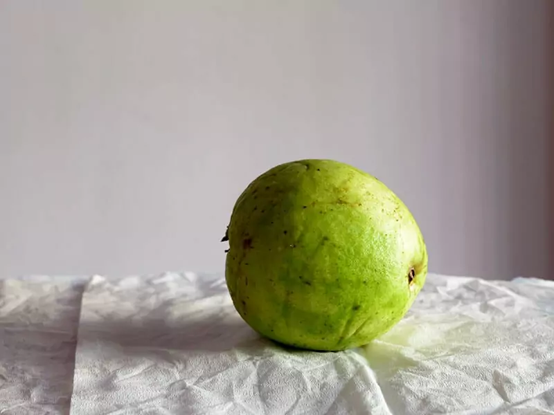 Guava Fruit