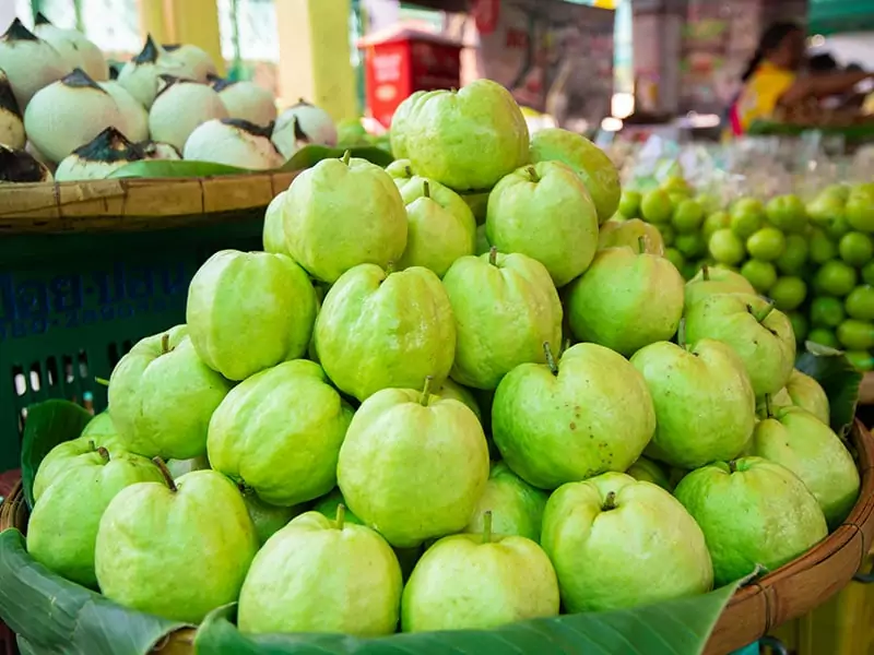 Guava Has An Appealing Smell