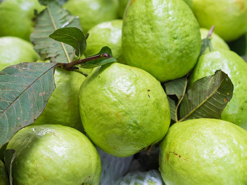 Guava Skins