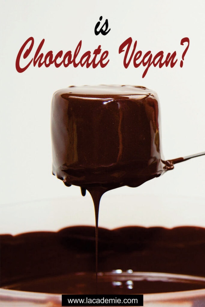 Is Chocolate Vegan
