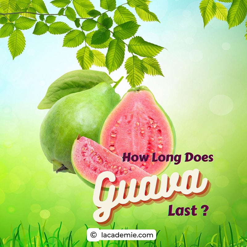 Long Does Guava Last