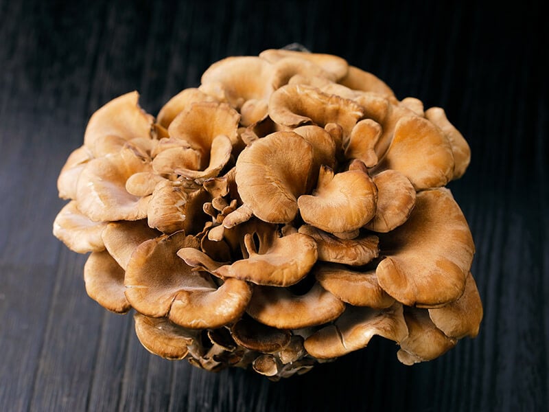 Maitake Mushroom