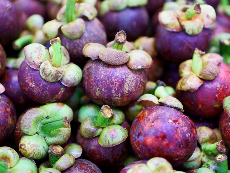 Mangosteens Fresh