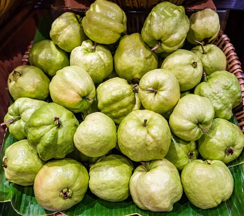 Observing Guava Color