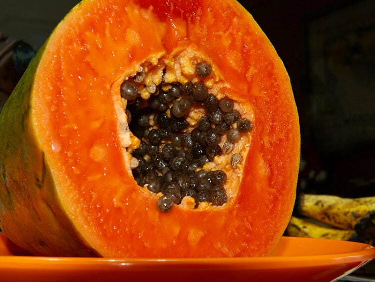 Does Papaya Go Bad? How to Keep It Fresh Longer in 2024