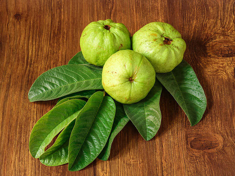 Psidium Guajava Variety