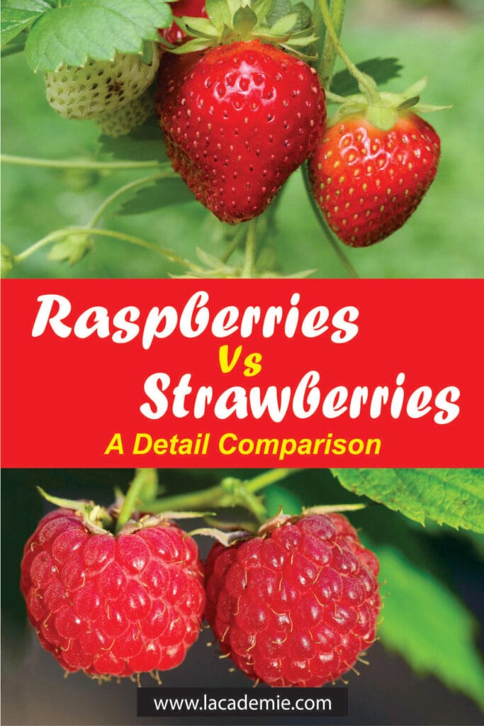 Raspberries Vs Strawberries
