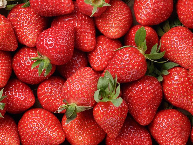 Storing Strawberries Properly